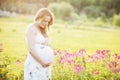 Young pregnant woman looking at her belly in park Royalty Free Stock Photo