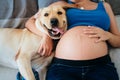 Young Pregnant Woman Lying On Bed With Dog Royalty Free Stock Photo