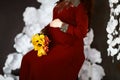 Young pregnant woman in a red dress holds her hands on her swollen belly with spring flowers of yellow tulips, love concept