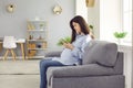 Young pregnant woman sitting on sofa at home holding mobile phone in hands. Royalty Free Stock Photo