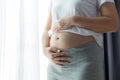 Young pregnant woman touching her belly Royalty Free Stock Photo