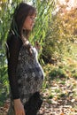 Young pregnant woman by willow tree Royalty Free Stock Photo