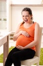 The young pregnant woman working at home Royalty Free Stock Photo