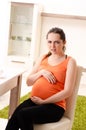The young pregnant woman working at home Royalty Free Stock Photo
