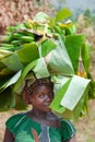 Ugandan woman with banana hat. Young and beautiful woman coming from street market carrying cooking bananas on head