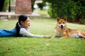 Young pretty Asian girl lying and teasing hand to Brown Shiba dog on grass field Royalty Free Stock Photo