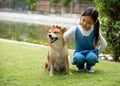 Young pretty Asian girl sitting and teasing hand to Brown Shiba dog on grass field Royalty Free Stock Photo