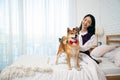 Young pretty Asian woman sitting and persecute Brown Shiba inu dog