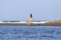 A young pretty girl and a dog running by the shore in the beach Royalty Free Stock Photo