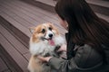 A young pretty Caucasian woman is sitting on the steps in the city center with her little red shepherd dog. Welsh corgi Royalty Free Stock Photo