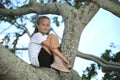 Young pretty child girl sitting relaxed between big branches of old tree on sunny summer day Royalty Free Stock Photo