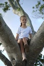 Young pretty child girl sitting relaxed between big branches of old tree on sunny summer day Royalty Free Stock Photo