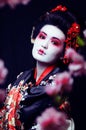 young pretty geisha in kimono with sakura and decoration on blac Royalty Free Stock Photo