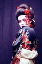 young pretty geisha in kimono with sakura and decoration on blac Royalty Free Stock Photo