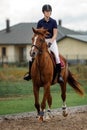 A young and pretty girl is learning to ride a thoroughbred Mare on a summer day at the ranch. Horse riding, training and