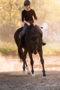 Young pretty girl riding a horse with backlit leaves behind Royalty Free Stock Photo