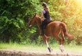 Young pretty girl riding a horse with backlit leaves behind in s