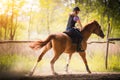 Young pretty girl riding a horse with backlit leaves behind in s Royalty Free Stock Photo