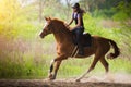 Young pretty girl riding a horse with backlit leaves behind in s