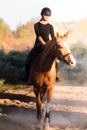 Young pretty girl - riding a horse with backlit leaves behind Royalty Free Stock Photo