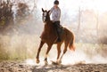 Young pretty girl - riding a horse with backlit leaves behind Royalty Free Stock Photo