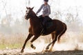 Young pretty girl - riding a horse with backlit leaves behind