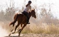 Young pretty girl - riding a horse with backlit leaves behind Royalty Free Stock Photo