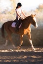 Young pretty girl - riding a horse with backlit leaves behind Royalty Free Stock Photo