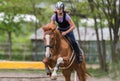 Young pretty girl riding a horse - jumping over hurdle with bac Royalty Free Stock Photo