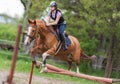 Young pretty girl riding a horse - jumping over hurdle with bac Royalty Free Stock Photo