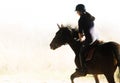 Young pretty girl - riding a horse in winter morning Royalty Free Stock Photo