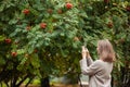 Young pretty girl tourist taking pictures of autumn trees in the park in autumn, copy space, close up Royalty Free Stock Photo