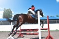 Young pretty jockey girl preparing horse for ride. love horses. girl riding a horse