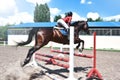 Young pretty jockey girl preparing horse for ride. love horses. girl riding a horse Royalty Free Stock Photo