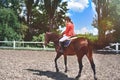 Young pretty jockey girl preparing horse for ride. love horses. girl riding a horse Royalty Free Stock Photo