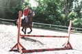 Young pretty jockey girl preparing horse for ride. love horses. girl riding a horse