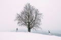 Young pretty pair of lovers. Winter. Date. A pair of lovers on a date in the mountains.