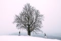 Young pretty pair of lovers. Winter. Date. A pair of lovers on a date in the mountains.