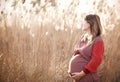 Young pretty pregnant woman outdoors on sunset Royalty Free Stock Photo