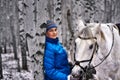 Young pretty woman in a blue jacket and a sports hat for a walk with a white horse in the winter birch forest Royalty Free Stock Photo