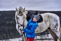 Young pretty woman in a blue jacket and a sports hat for a walk with a white horse Royalty Free Stock Photo