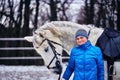 Young pretty woman in blue jacket and sports hat on a walk with a white horse on a winter cloudy day. Royalty Free Stock Photo