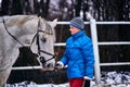 Young pretty woman in blue jacket and sports hat on a walk with a white horse on a winter cloudy day. Royalty Free Stock Photo