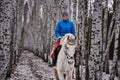 Young pretty woman in a blue jacket and a sports hat for a walk with a white horse Royalty Free Stock Photo