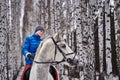 Young pretty woman in a blue jacket and a sports hat for a walk with a white horse Royalty Free Stock Photo