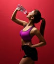 Young pretty woman drinking water in purple sport bra Royalty Free Stock Photo