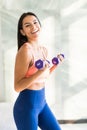 Young pretty woman is exercising with dumbbells at home. Fitness, workout, healthy living and diet concept Royalty Free Stock Photo