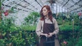 Young pretty woman florist in apron walking through large greenhouse holding bucket and looking around at green plants Royalty Free Stock Photo