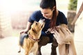 Young pretty woman playing with Beagle dog Royalty Free Stock Photo