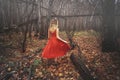 Young pretty woman in the red dress is walking in the foggy mystical forest with fallen leaves